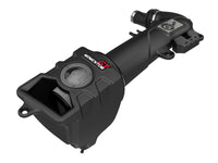 Thumbnail for Photo - Primary