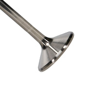 Thumbnail for Photo - Primary