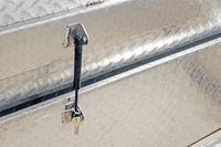 Thumbnail for Photo - Unmounted