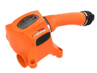 Thumbnail for Photo - Primary