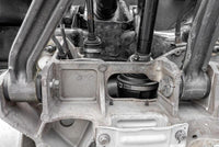 Thumbnail for User 1