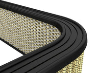 Thumbnail for Photo - Close Up