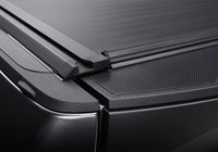 Thumbnail for Photo - Close Up