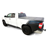 Thumbnail for Photo - Mounted