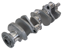 Thumbnail for Photo - Primary