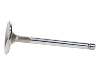 Thumbnail for User 1