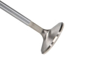 Thumbnail for Photo - Primary