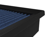 Thumbnail for Photo - Close Up