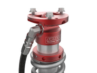 Thumbnail for Photo - Close Up