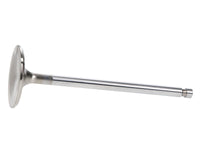 Thumbnail for User 1