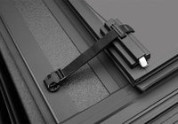 Thumbnail for Photo - Close Up