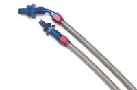 Thumbnail for Photo - Primary