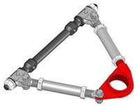 Thumbnail for Photo - Unmounted