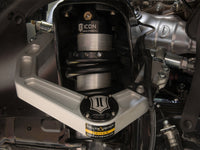 Thumbnail for Photo - Mounted