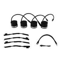 Thumbnail for Photo - Primary