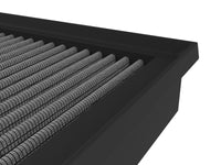 Thumbnail for Photo - Close Up