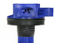 Thumbnail for Photo - Close Up