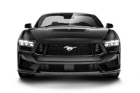 Thumbnail for Photo - Mounted