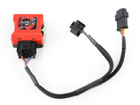 Thumbnail for Photo - Unmounted