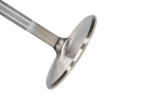 Thumbnail for Manley Chrysler Hemi 6.1L w/ Triple Groove 2.100in Race Flo Intake Valves (Single Valve)