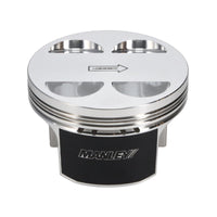 Thumbnail for User 5