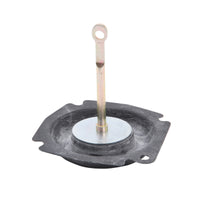 Thumbnail for Photo - Primary