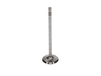Thumbnail for Manley Ford 4.6L 34mm Diameter 117.35mm Length Race Master Exhaust Valves (Set of 8)