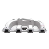 Thumbnail for Photo - Unmounted