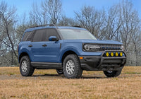 Thumbnail for Photo - Mounted