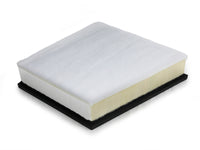 Thumbnail for Photo - Unmounted