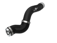 Thumbnail for Photo - Primary