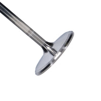 Thumbnail for Photo - Primary