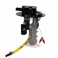 Thumbnail for Photo - Close Up