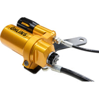 Thumbnail for User 1