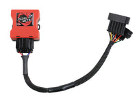 Thumbnail for Photo - Unmounted