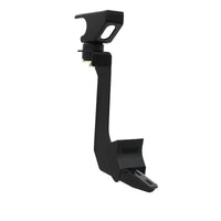 Thumbnail for Photo - Unmounted