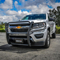 Thumbnail for Photo - Mounted