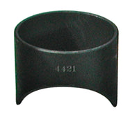 Thumbnail for Photo - Primary