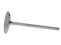 Thumbnail for User 1