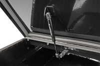 Thumbnail for Photo - Mounted