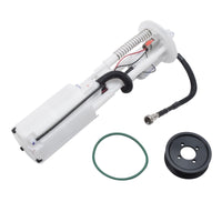 Thumbnail for Photo - Primary