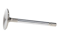 Thumbnail for User 1