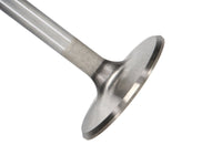 Thumbnail for Photo - Primary