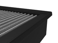 Thumbnail for Photo - Close Up