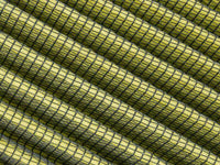 Thumbnail for Photo - Close Up