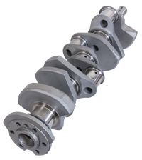 Thumbnail for Photo - Primary