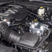 Thumbnail for Mishimoto 2024+ Ford Mustang V8/2.3L EcoBoost Expansion Tank - Polished