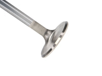 Thumbnail for Photo - Primary