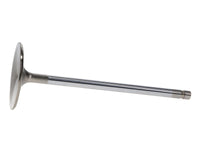 Thumbnail for User 1