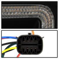 Thumbnail for Photo - Unmounted